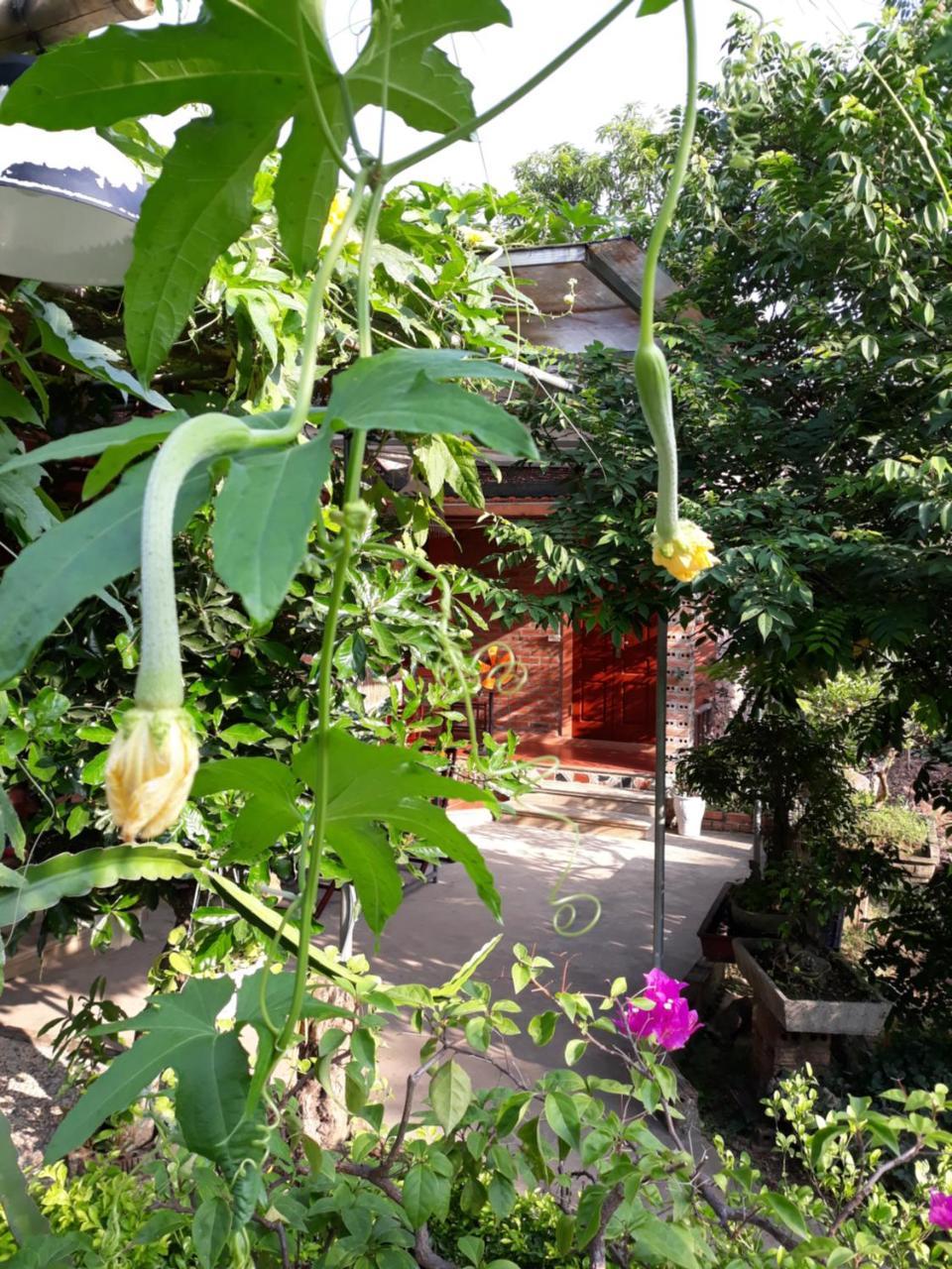 An Phu Homestay Ниньбинь Экстерьер фото